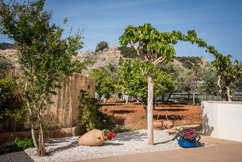 Mear Apartments And Studios Gialos  Dış mekan fotoğraf